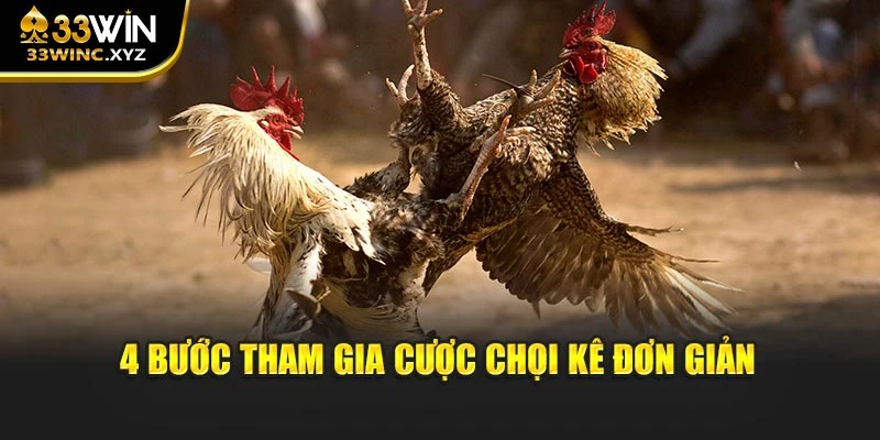 4 bước tham gia cược chọi kê đơn giản
