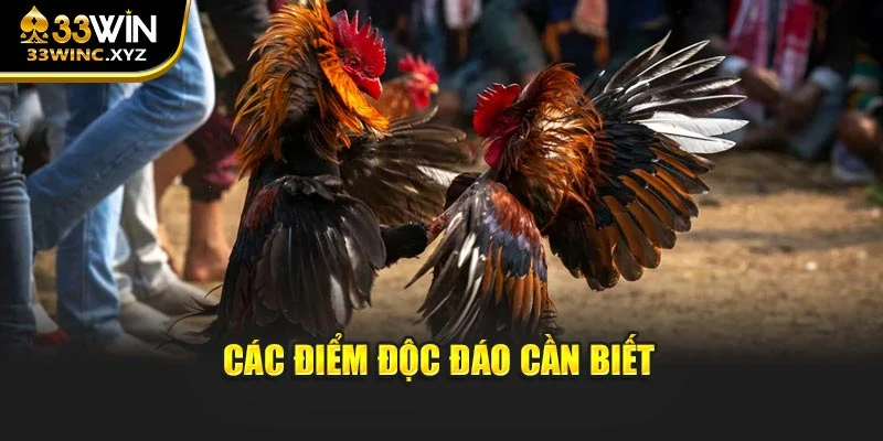 Các điểm độc đáo cần biết