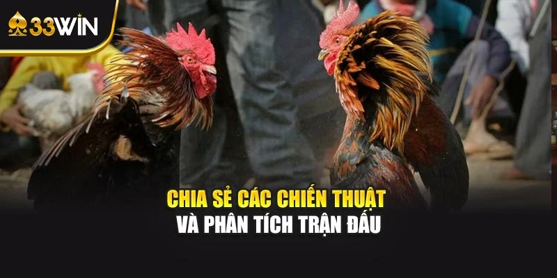 Chia sẻ các chiến thuật và phân tích trận đấu