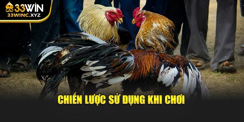 Chiến lược sử dụng khi chơi