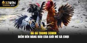 Đá Gà Thomo 33win – Điểm Đến Hàng Đầu Của Giới Mê Gà Chọi
