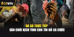 Đá Gà Trực Tiếp – Sân Chơi Kịch Tính Cho Tín Đồ Cá Cược