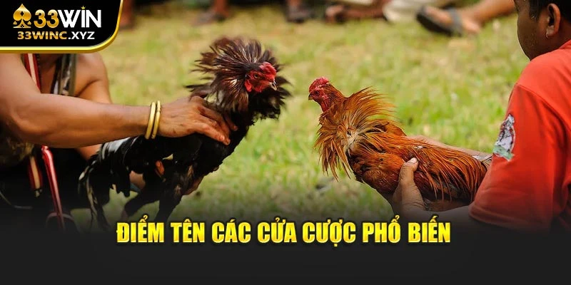 Điểm tên các cửa cược phổ biến