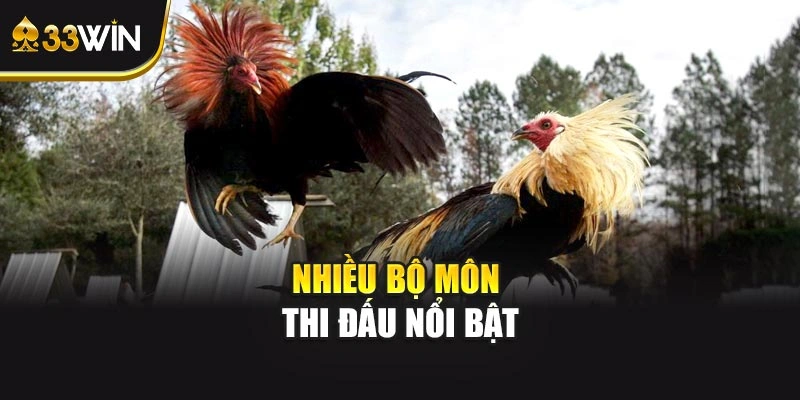 Nhiều bộ môn thi đấu nổi bật