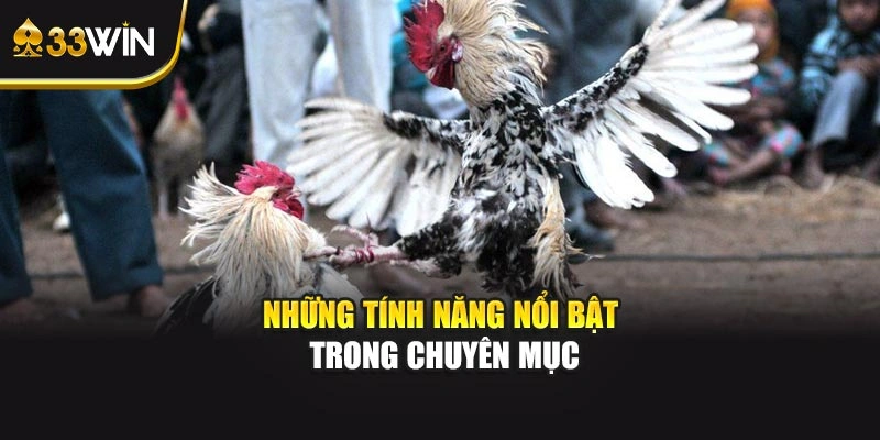 Những tính năng nổi bật trong chuyên mục
