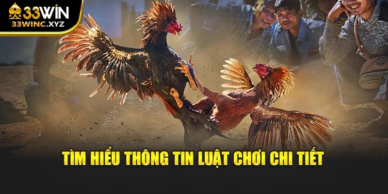 Tìm hiểu kỹ về thông tin luật chơi chi tiết